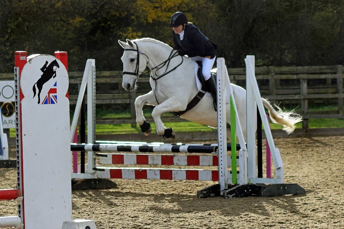 ParkLaneStables's tweet image. On day 2 of #AutismAwarenessWeek2021 we just wanted 2 make the point that the same horse can have many roles 2 many people, &amp;amp; at different ages &amp;amp; stages of his life he can still give so much &amp;amp; be a great friend. Definitely not 1 trick ponies!