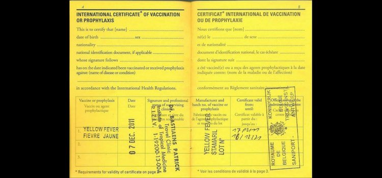 yashar's tweet image. Are people against vaccine passports for international travel or is it just about domestic stuff? 

Because I’ve had to carry proof of a yellow fever vaccination for years in order to travel through most of Africa so this is nothing new. 

It looks like this...