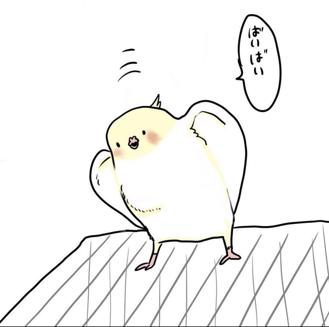 #オカメインコ
#鳥好きさんと繋がりたい
#エッセイ漫画 