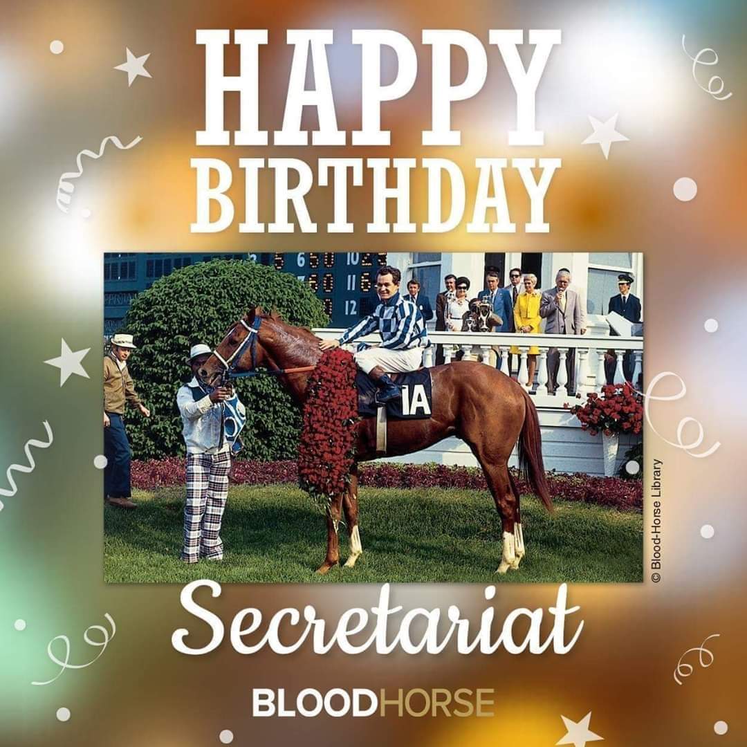 19Equus's tweet image. Happy Heavenly 51st Birthday Secretariat!!