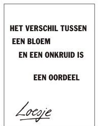 **het verschil tussen
 een bloem en een onkruid
 is een oordeel**
#loesje #nktegelwippen