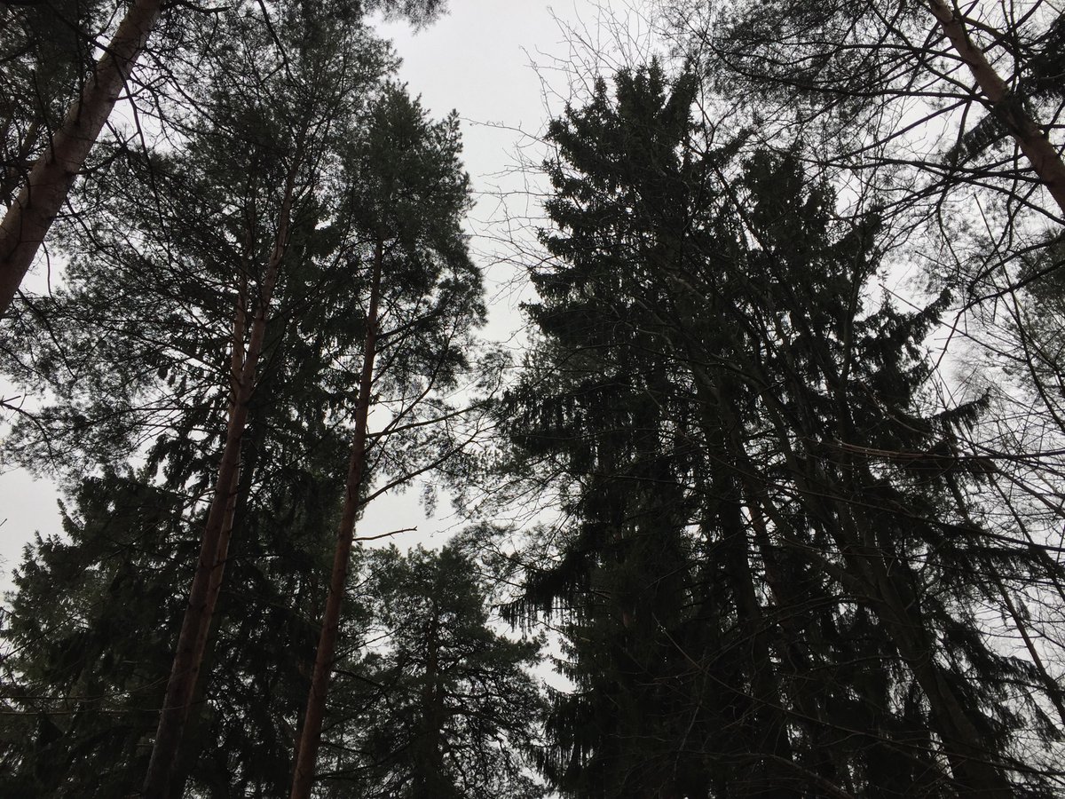 PiaLindroos's tweet photo. UPM-Kymmenen 🌲 2020 oli hyvä, 3 mrd:n investoinnit käynnissä ja lisää kasvuhankkeita putkessa, kertoi @UPMSuomi 
pitkäaikainen tj Jussi Pesonen. #sijoittaminen #pörssi #raha #agm2021 https://t.co/OQfBiUJGtt
