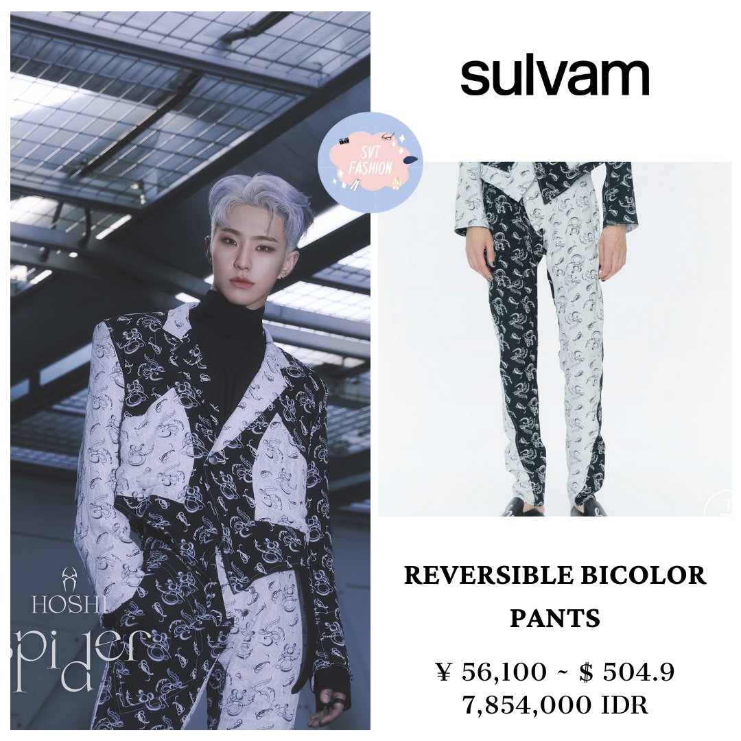 Seventeen Fashion (세븐틴 패션) -fan account