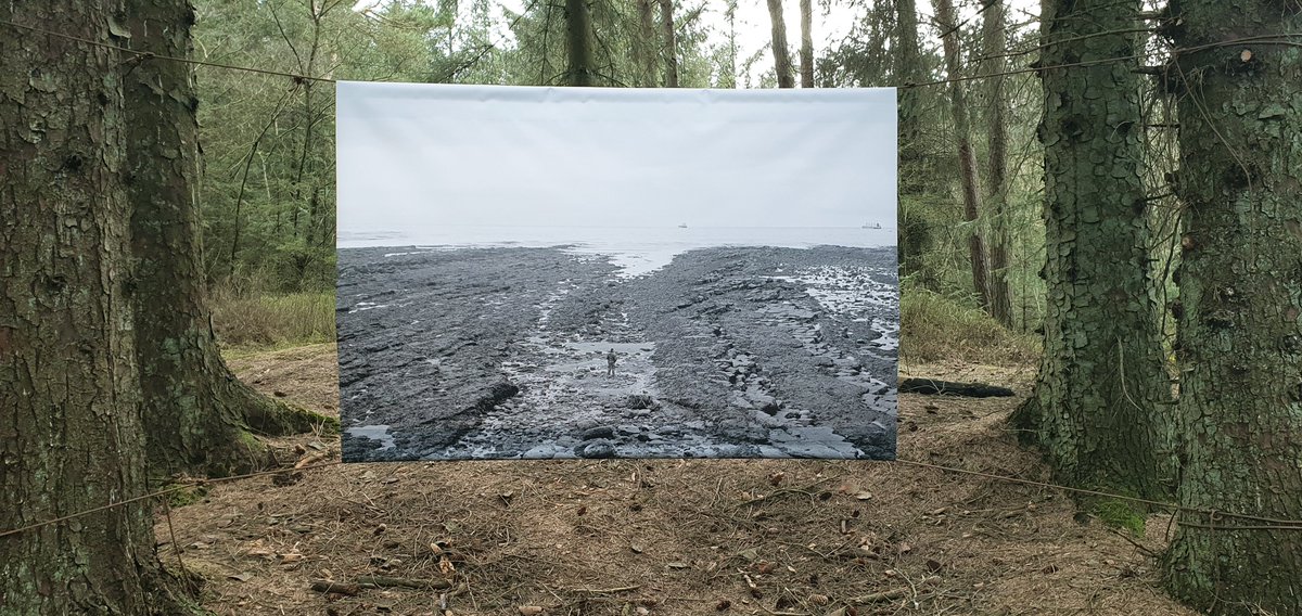 MarkAdamsImages's tweet photo. A sneak preview of the upcoming SelfScapes exhibition at Dalby Forest. The full launch will now be on the 12th April. #photography #film #inmemoriam #tennyson #landscape #stilllife #burialmounds #topographics #dalby #forest https://t.co/jLJ5u55No7