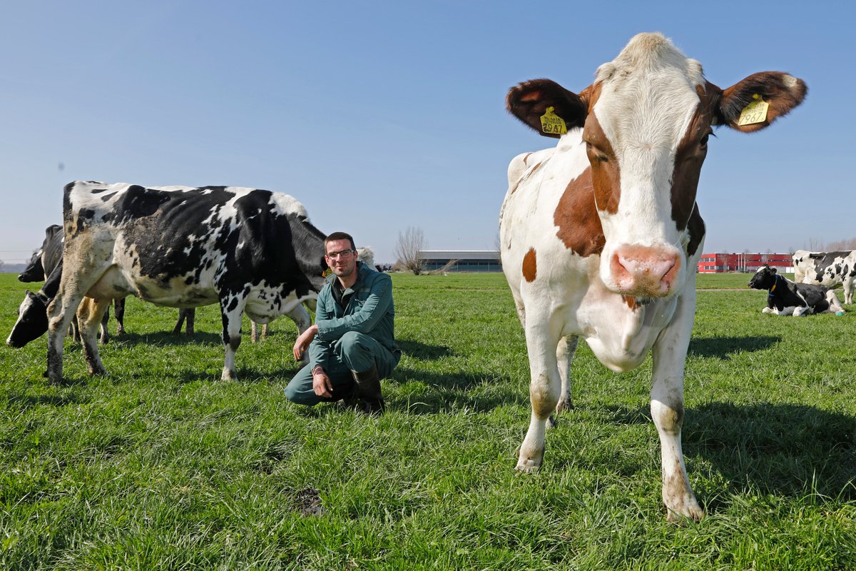 Geurt Mouthaan tweet media