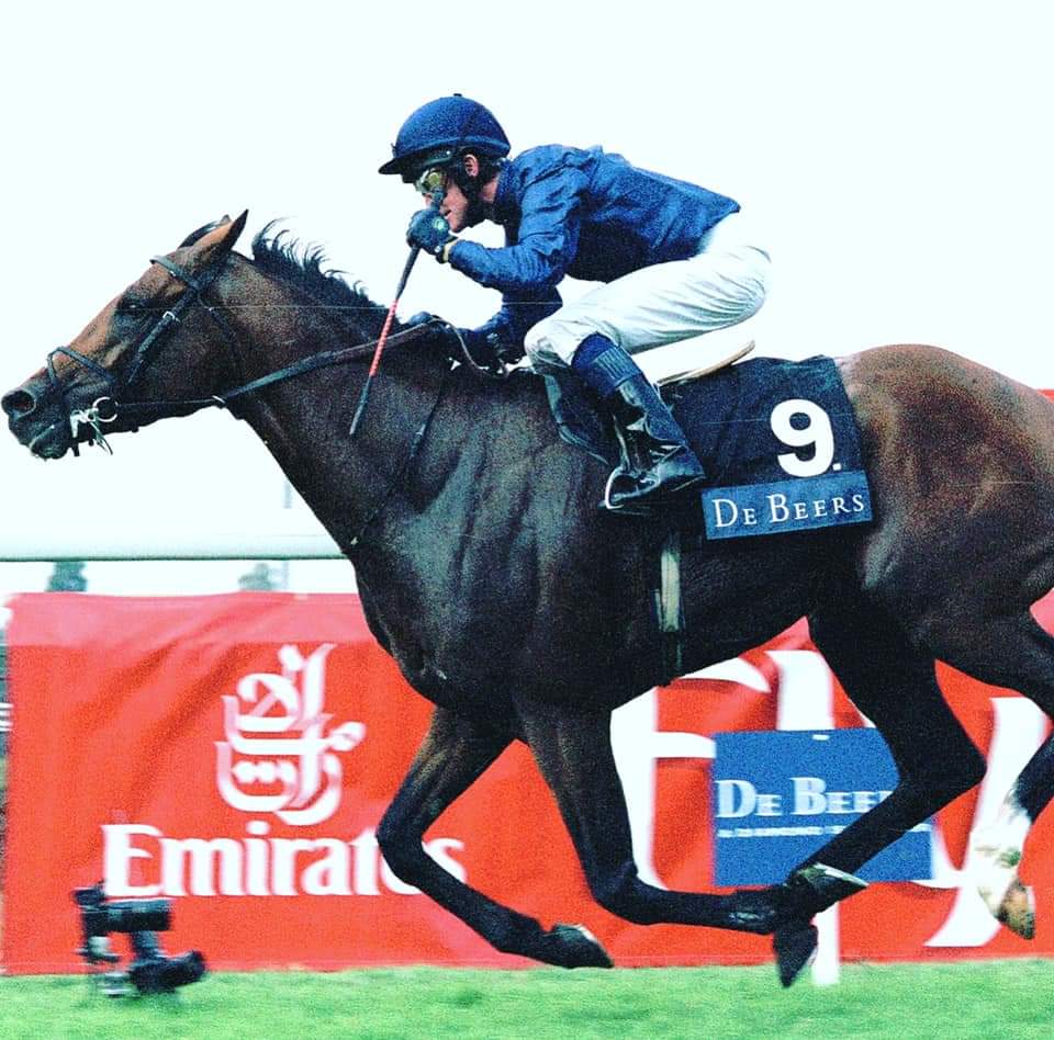 19Equus's tweet image. Happy 23rd Birthday Galileo xo..