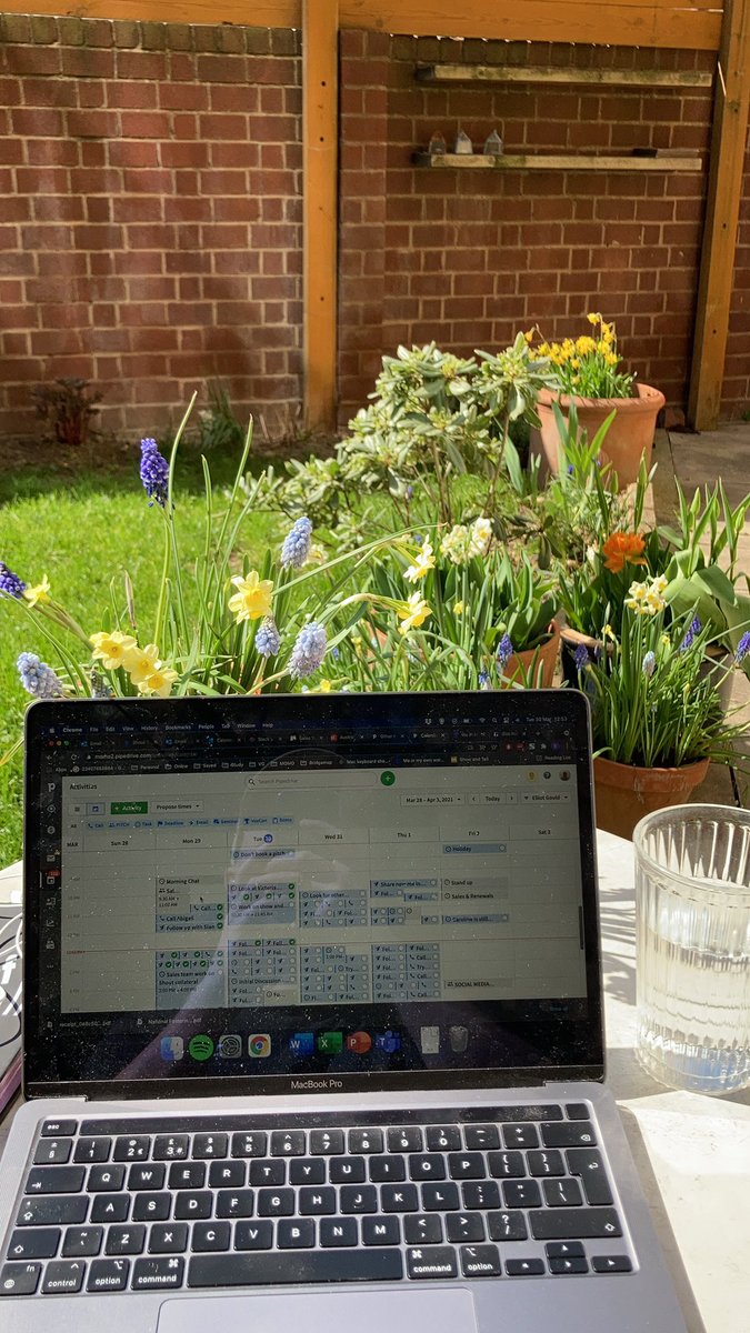 Not a bad day to be working from home