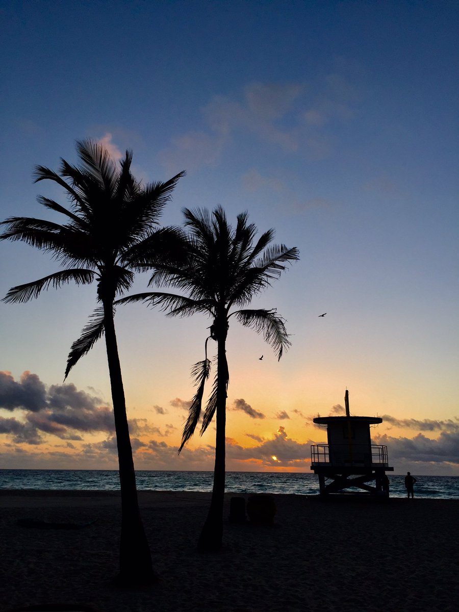 JorgeLPosada's tweet photo. Live YOUR dream. #Ninjalifeguard #Live #love #laugh #sun #surf #sea #search #freedom #goodvibes #inspire #Motivation #summer #dreambig #workhard #focus #health #wellness #Mindfulness #aloha #travel #florida #endlesssummer #stayinit #livefree #livealoha #win https://t.co/gf3GWM8YtM