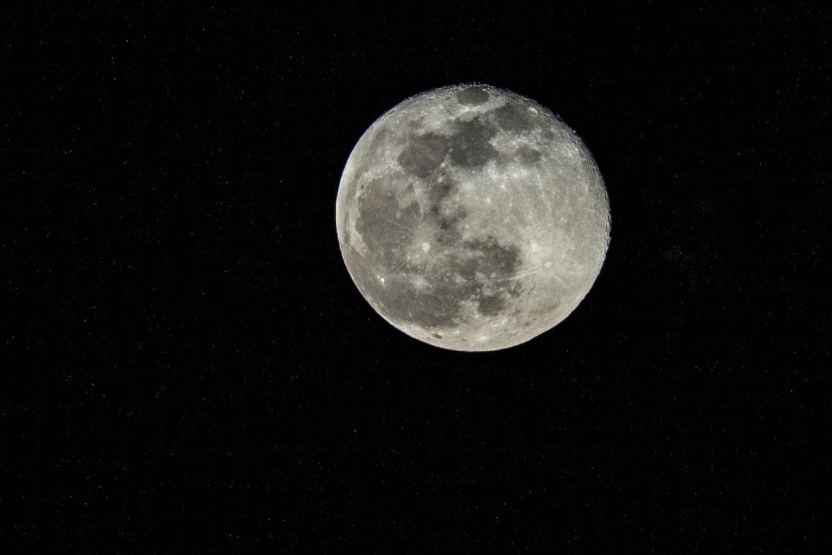 The Suez Canal is open again thanks to a crack team of international experts, and the high tide from...

 The SuperMoon!