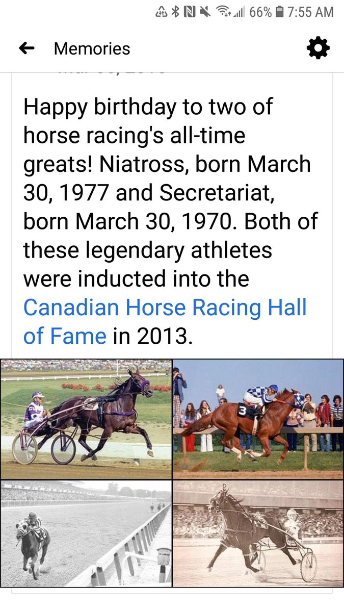 19Equus's tweet image. #birthdayboys