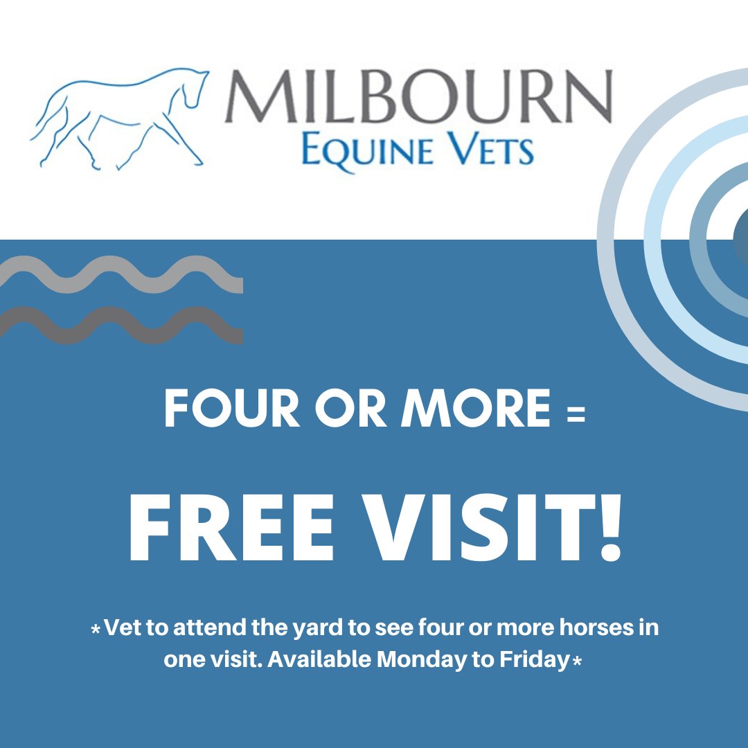 Milbournequine's tweet photo. FOUR OR MORE=FREE VISIT
If we treat four or more horses at the same premises in one visit, then the visit fee is completely free!
Call your local branch for more information and to book. https://t.co/B123x7dFES