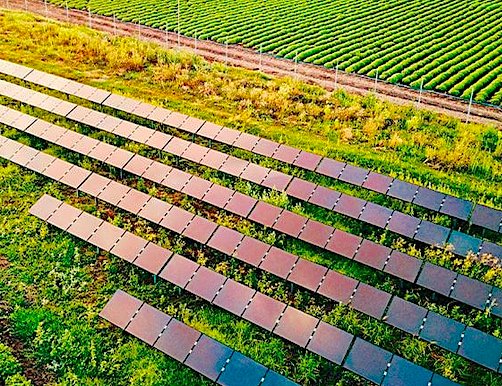 PresseLib's tweet photo. La #transitionécologique s'accélère dans l'Est des #Landes 🌎

Le collectif d'agriculteurs "Patav" s'associe à la société néo-aquitaine #GreenLightDéveloppement 🌱

Pour une production commune d'électricité photovoltaïque ! ⚡️

Plus d'infos 👉  https://t.co/c5TPwRXxH9

@arbouts https://t.co/oDGaOJSI7n