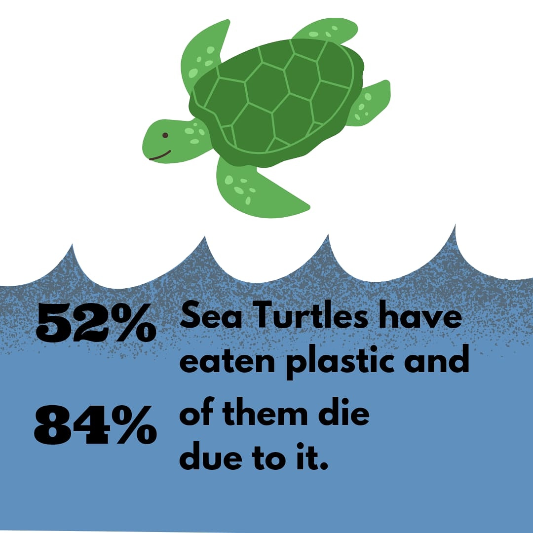 ArdeoLegacy's tweet photo. Just a REALITY CHECK
.
We @ArdeoLegacy Recycle 6-14 plastic bottles on each product produced
.
Visit us now : https://t.co/hjc4xfACYy

#sustainability #RestInPeace #turtles #COVID19 #plasticpollution #recycling #heartfelt
#India #Modi #MakeInIndia https://t.co/E2QYVytBLv