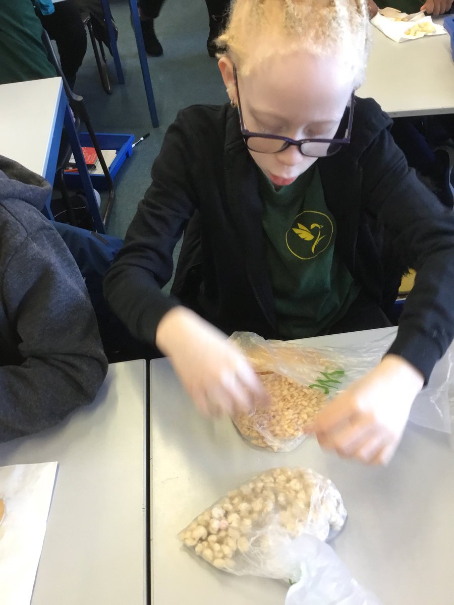 Goldfinch Primary tweet media