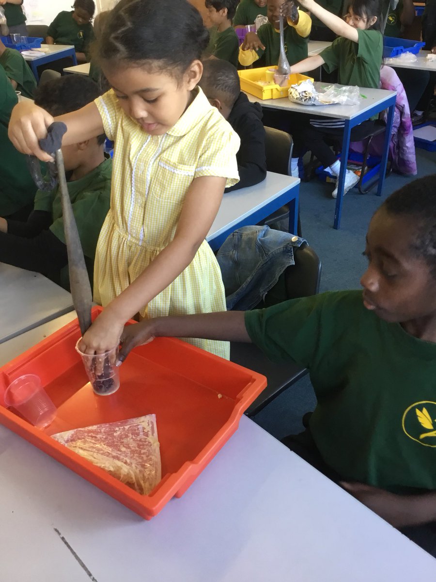 Goldfinch Primary tweet media