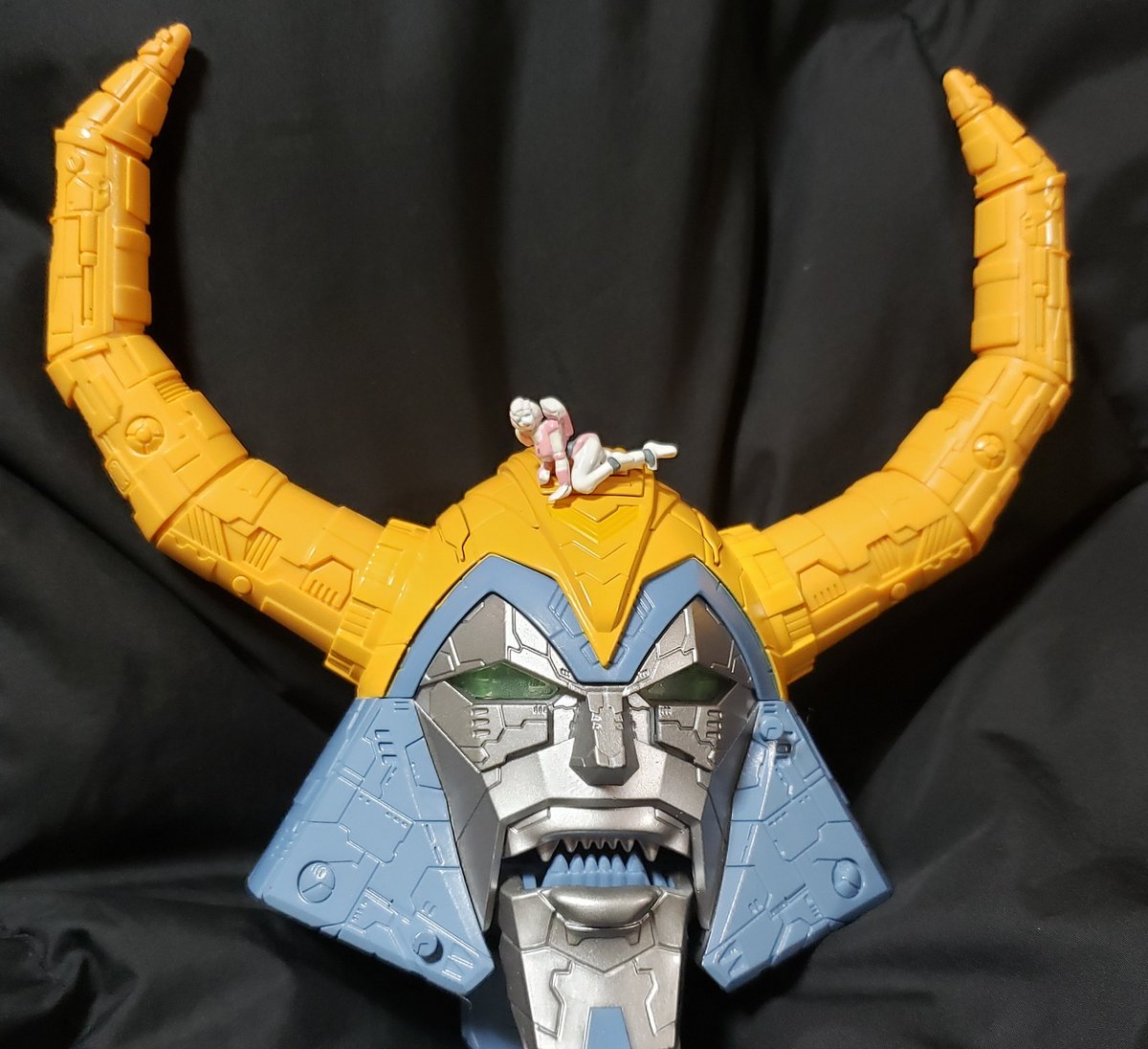 マキシマ tweet media