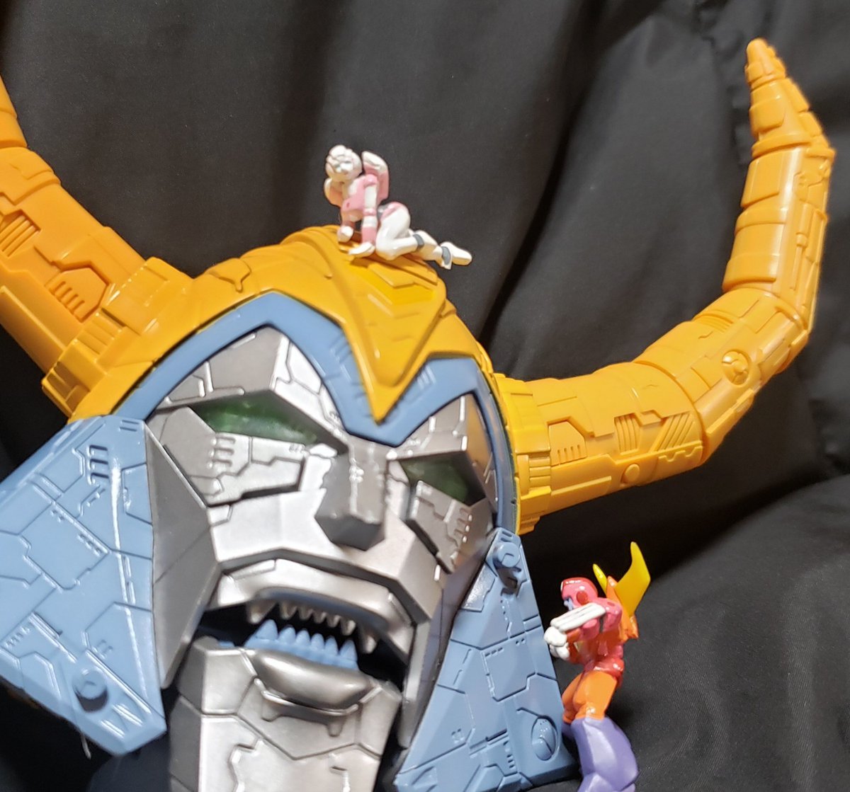 マキシマ tweet media