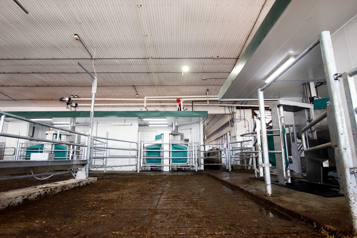 dairylanesystem's tweet photo. 1/3 - Congratulations to the Tower family at Macksvilla Farms on a successful startup last week! Three GEA R9500 robots were installed in their existing dairy barn at the former holding area entrance
#DLSdairy #DLSrobotics #dairyfarmers #dairyfarming #dairycows #dairy @Ctowers15 https://t.co/k2fKgge80y