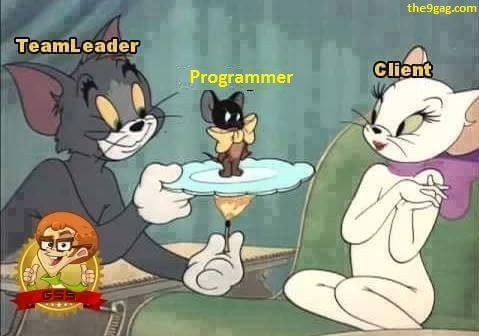 Reuwelscode's tweet photo. Programmers life https://t.co/t5nVqGGqN6