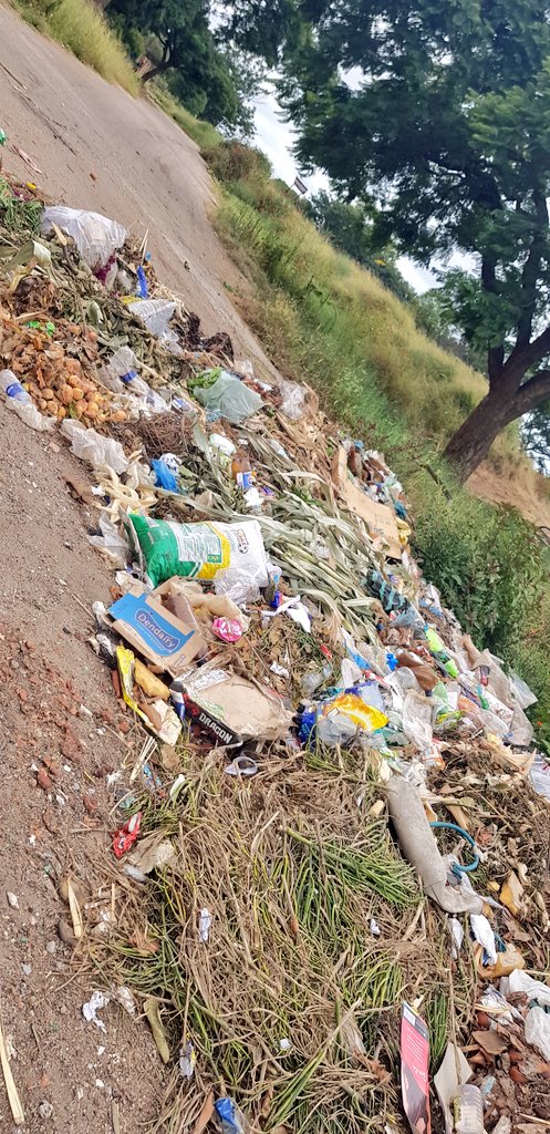 byopra's tweet photo. This is near Ngcebetsha Road in Mzilikazi. Residents in the area are citing inadequacy in the number of times BCC collects waste in the area as the reason why they end up dumping waste there. https://t.co/kQyBWdEx4h