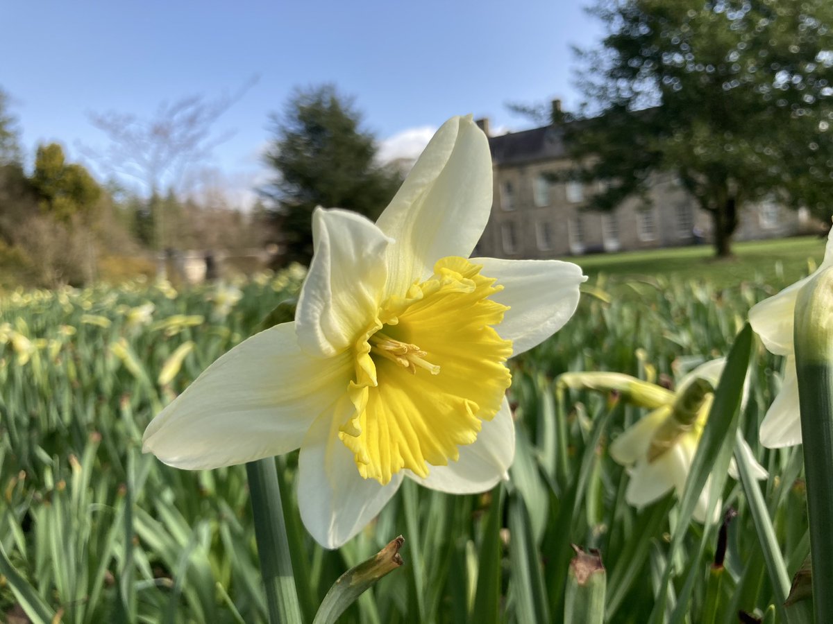 WallingtonNt's tweet photo. Hello sunshine ☀️ #spring #eastersun #EveryoneNeedsNature https://t.co/wTWly0Zdak