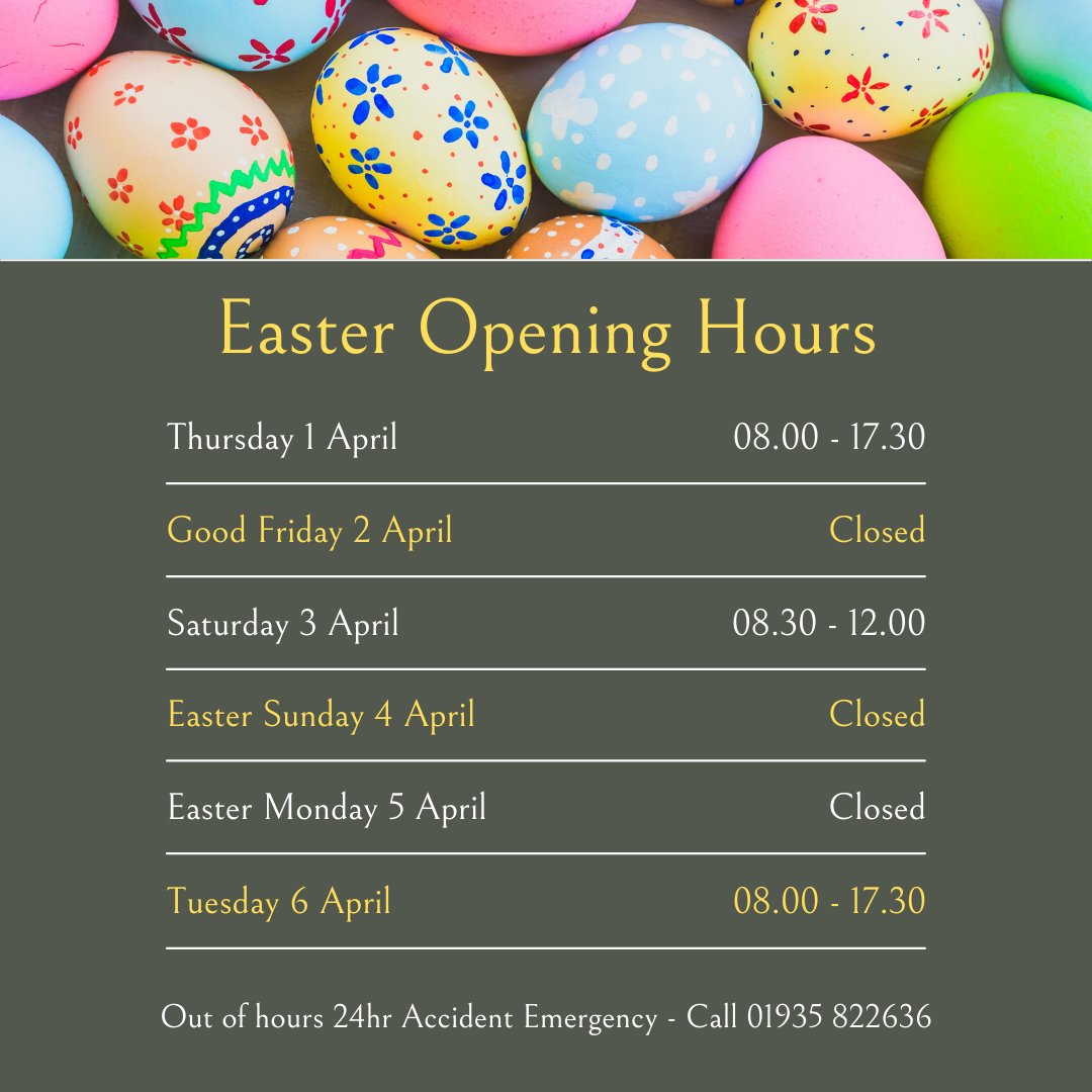 Your CHOICE Our EXPERTISE Your PEACE OF MIND

Call our team 01935 709999 for a FREE repair assessment, professional advice and Covid secure customer friendly service.

#Approvedbodyshop #happycustomers #genuinepaint #genuineparts #carbodyrepair #carbodyshop #yourcaryourchoice