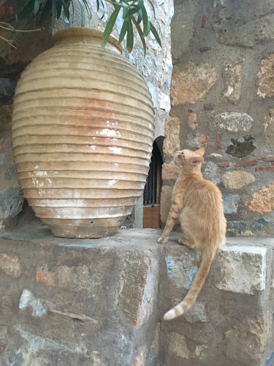 MONEMVASIA2's tweet photo. #Monemvasia #Greece #Kastro #History #pitharia https://t.co/GCK2ib4dTy