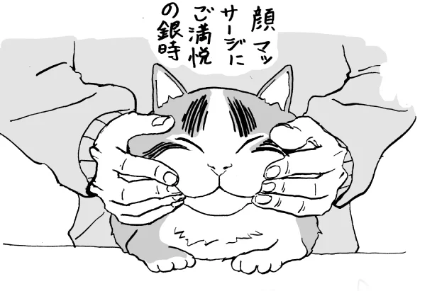 顔マッサージにご満悦の猫を描きました。#ZEROの猫イラスト#猫好きさんと繋がりたい #猫漫画 