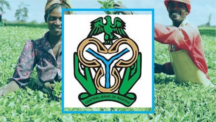 Jobswithdexa's tweet photo. CBN 2021 Commercial Agriculture Credit Scheme (CACS) N200 billion Fund for Nigerians

https://t.co/SyezxUTgzI https://t.co/B8B4LOpSh6