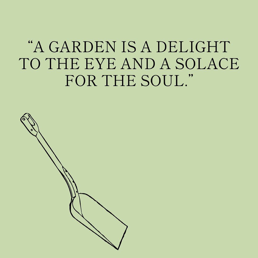 GardenAngels_'s tweet photo. Hopes and dreams are yet to be realised. 
-
Gardening is a work of art. 🖼 
-
Let us help you create your perfect garden. 😍
•
#inmygardentoday #vegetablegarden #gardenlovers #thehappygardeninglife #garden #gardening #gardenbuisness #gardenlife #gardendesign #gardensofinstagram https://t.co/TdziecxkXE