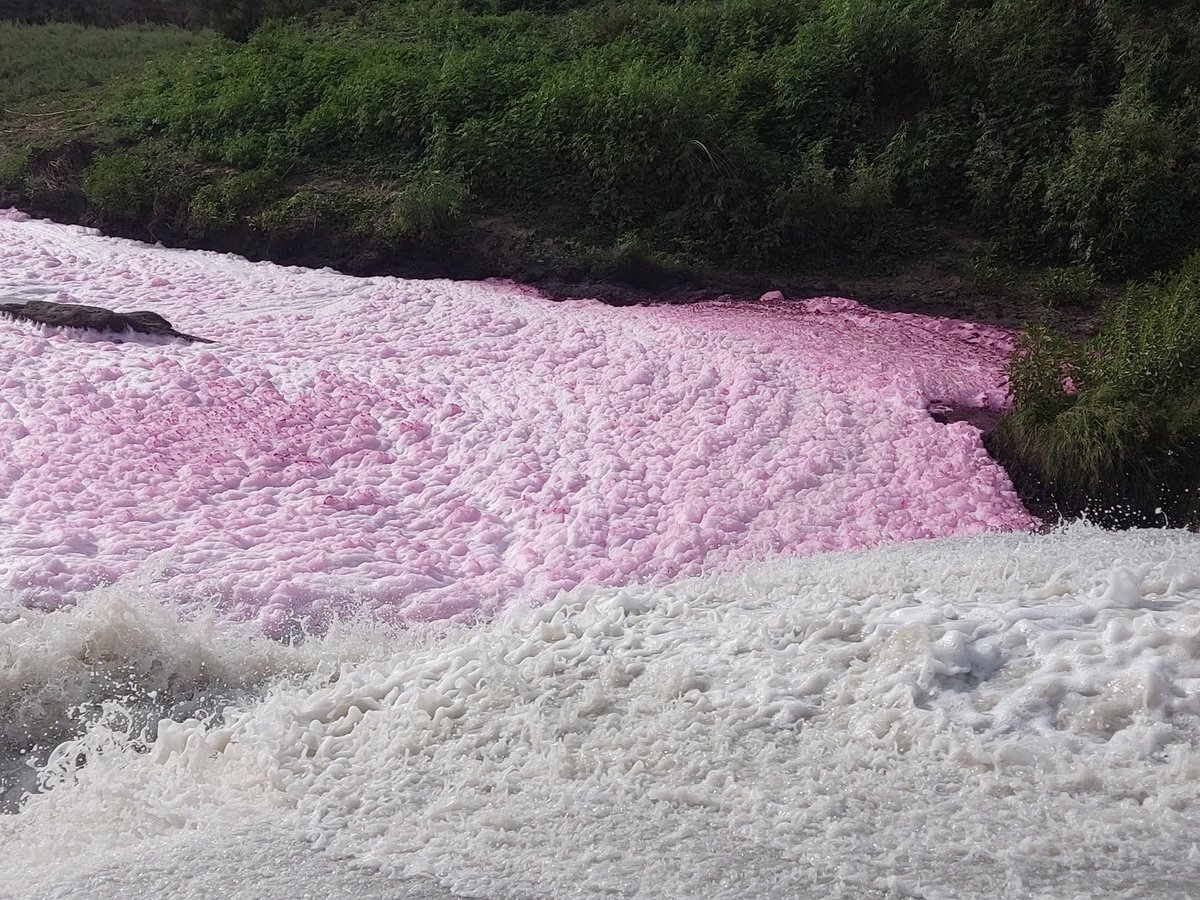 varungulati84's tweet photo. @CPCB_OFFICIAL @yamunajiye @amitratheeadv @TOIDelhi @PrakashJavdekar @moefcc 
Water discharged from jeans dyeing units entering in yamuna directly without any treatment, and govt thinks that now yamuna will be cleaned, pathetic!!! https://t.co/fMrKZdvWx6