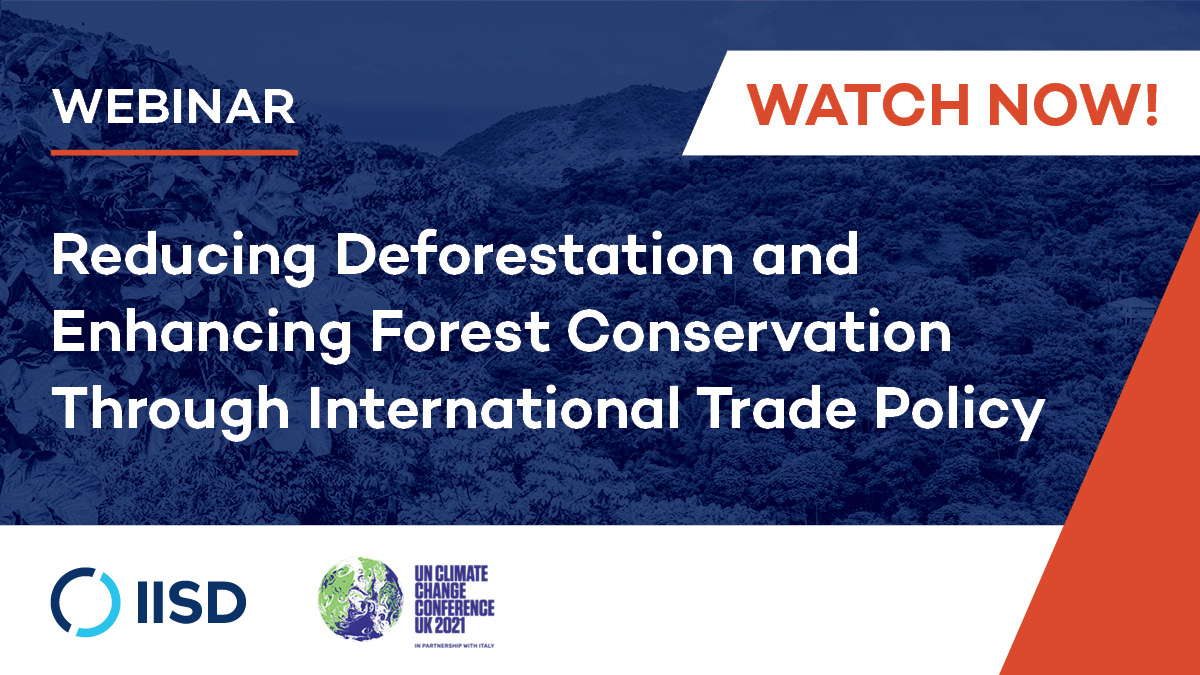 How effective are #SustainabilityStandards and #TradeAgreement measures at conserving forests?

Watch our webinar to hear about promising developments in the cocoa, palm oil, soybean, and timber sectors.

▶️Recording now available: bit.ly/ssi-trade-webi…

#IISDssi #SDG12 #RTAs