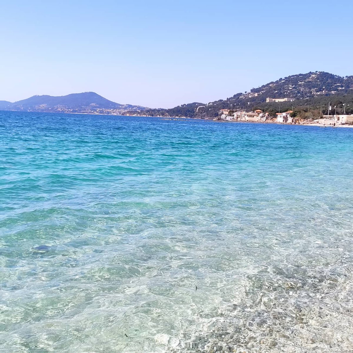 Minowska tweet media