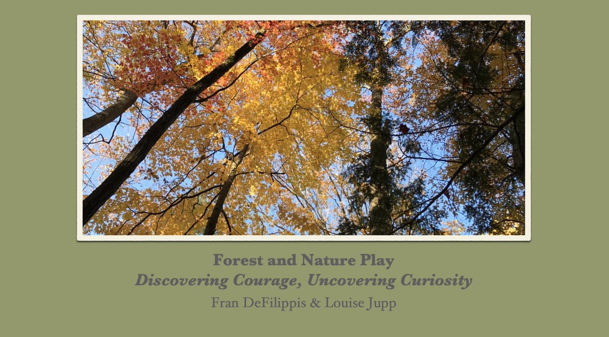 SenecaForest's tweet photo. We are grateful to @YorkRegionGovt &amp; @CDRCP for inviting us to share our outdoor learning experiences with the amazing educators in the region. These webinars have ignited diverse conversations from expressions of curiosity and joy to the sharing of anxiety over loss of control. https://t.co/52CeVL30hL