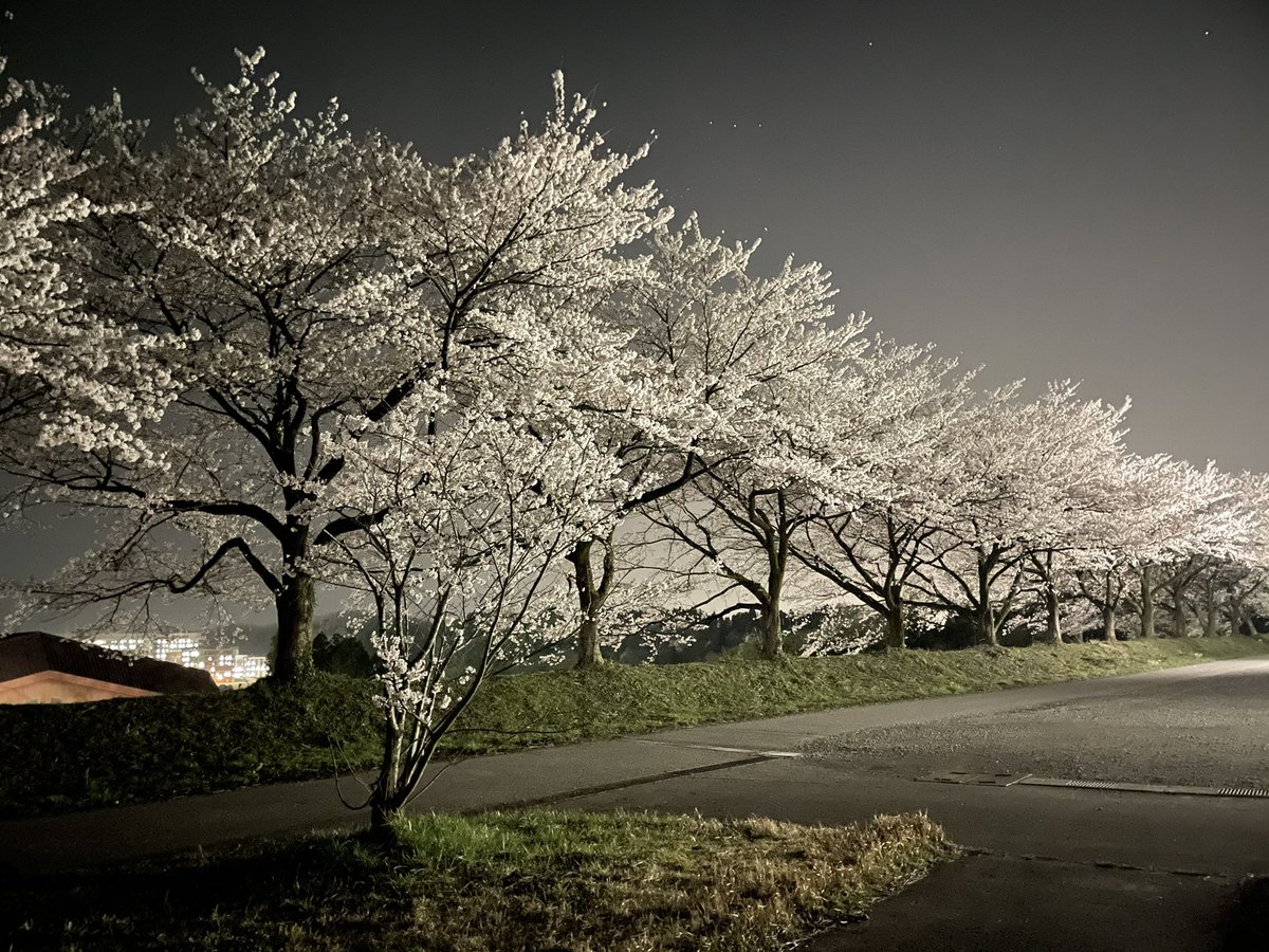 金沢大学全学テニス部 Kanazawa Tennis Twitter