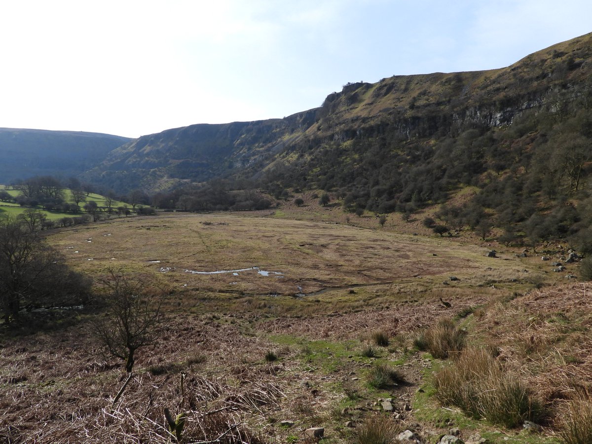 ecology_cymru's tweet photo. Waun Ddu (Llangattock). This raised bog is unique in having a 'lagg fen' stream around the perimeter which soaks up nutrients. A lot of raised bogs lack this feature. @WelshUplands #RaisedBogs @donnarainey4 @LlangattockPick https://t.co/fFDSX6klSe