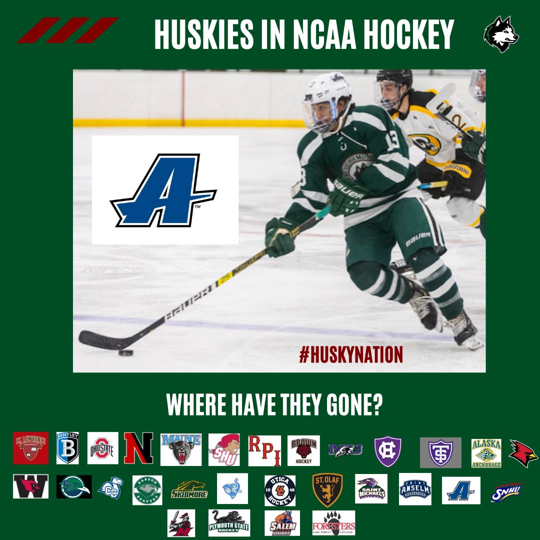 NHShuskyhockey's tweet photo. COMMITMENT ALERT! Congrats to alternate captain, Ronny Paragallo, on his commitment to Assumption University! @AssumptionMHKY is getting a puck hunting water bug who will add speed up and down the lineup. Awesome kid as well! #HuskyNation #CollegeHockey https://t.co/1KzCnvz2HY