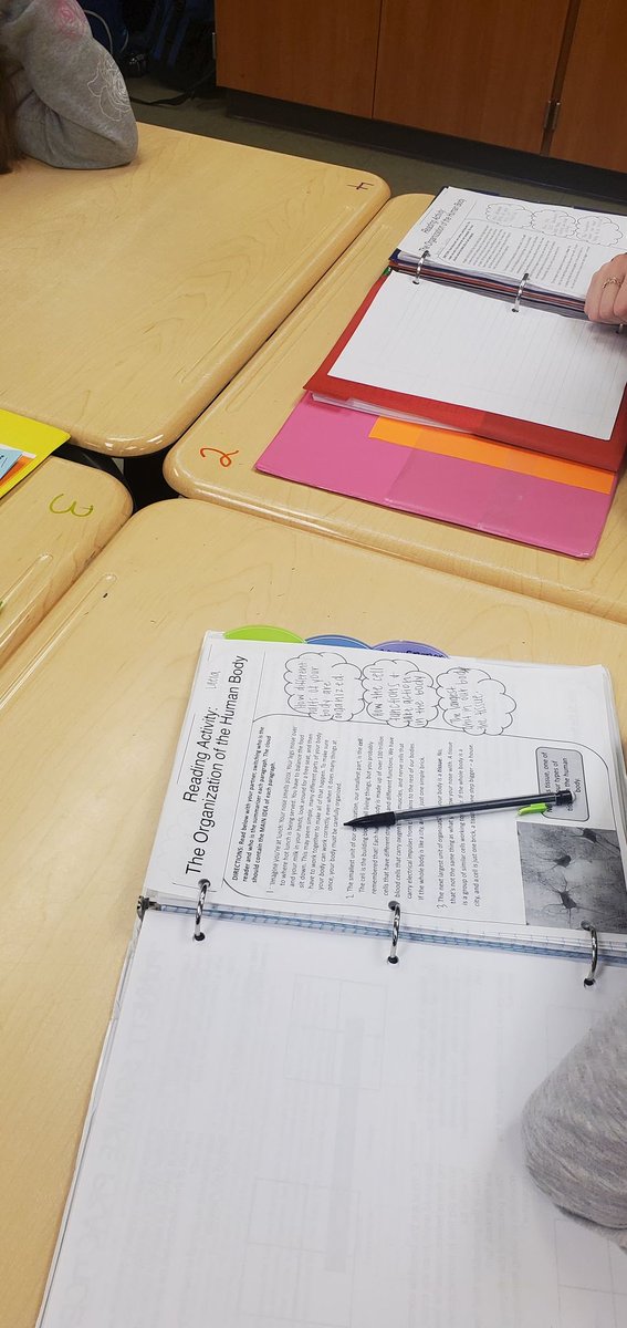 White Plains Middle Update: Seventh graders in Mrs. Hill's class are participating in Reciprocal Teaching groups to gain more knowledge about the Body's Systems! Students were in numbered groups to dissect each paragraph &amp; then annotate the text on their graphic organizers.