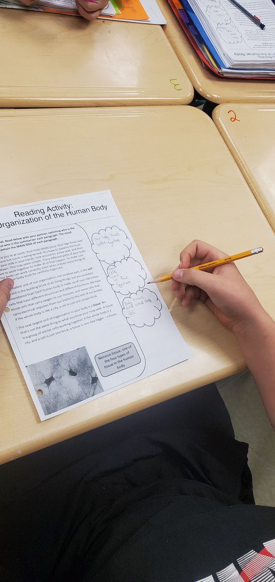 ccboe_news's tweet photo. White Plains Middle Update: Seventh graders in Mrs. Hill's class are participating in Reciprocal Teaching groups to gain more knowledge about the Body's Systems! Students were in numbered groups to dissect each paragraph &amp; then annotate the text on their graphic organizers. https://t.co/6XptS5nDmc