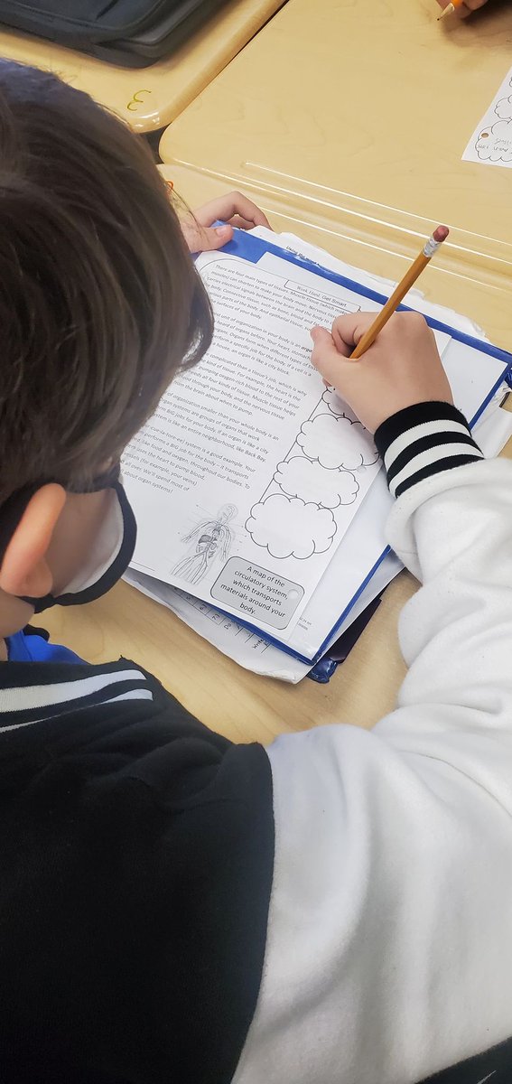 ccboe_news's tweet photo. White Plains Middle Update: Seventh graders in Mrs. Hill's class are participating in Reciprocal Teaching groups to gain more knowledge about the Body's Systems! Students were in numbered groups to dissect each paragraph &amp; then annotate the text on their graphic organizers. https://t.co/6XptS5nDmc