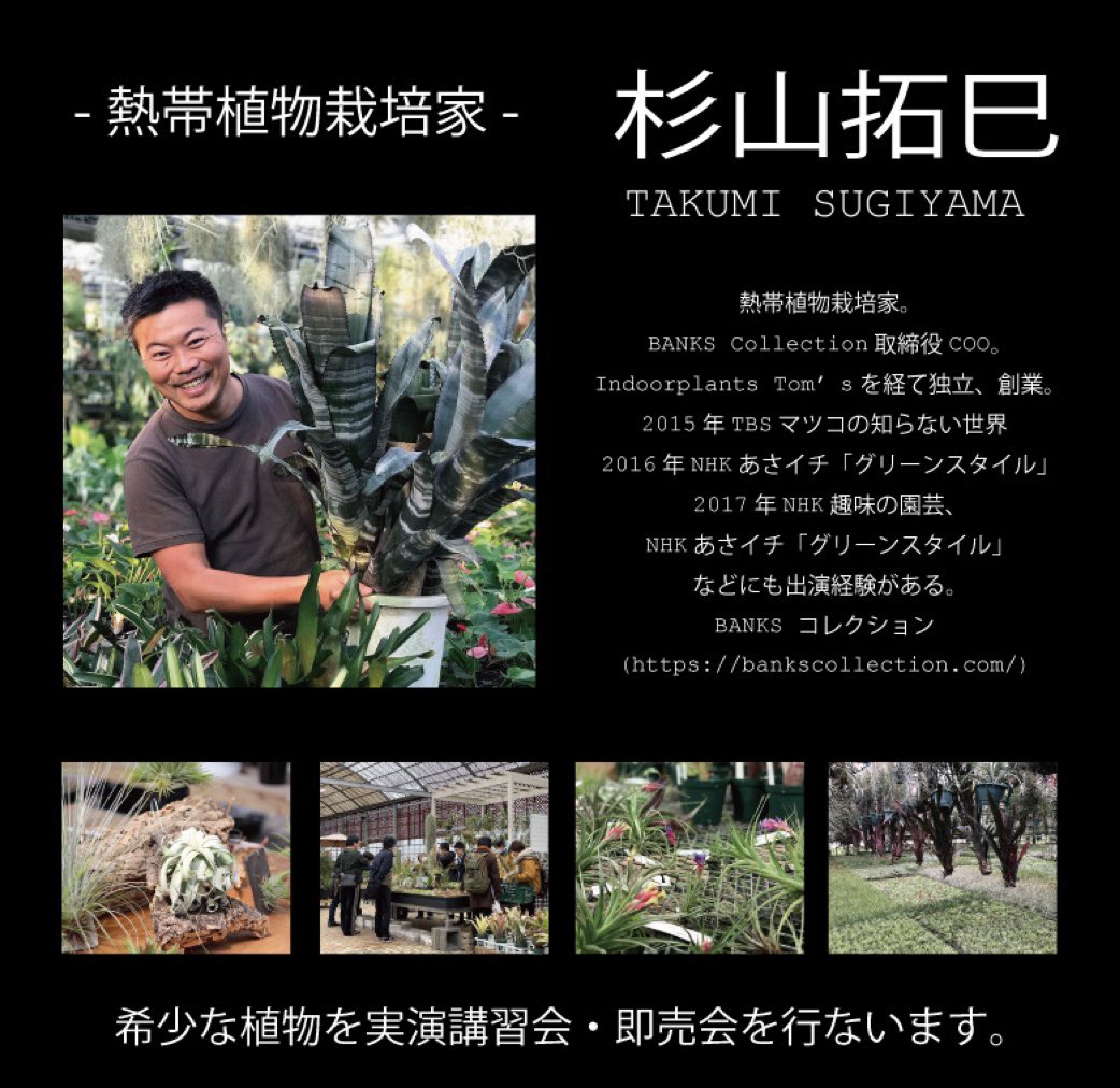 Hirata Nursery Hirata Nursery Twitter