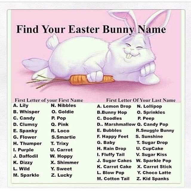 TL Shively (@tl_shively) on Twitter photo 