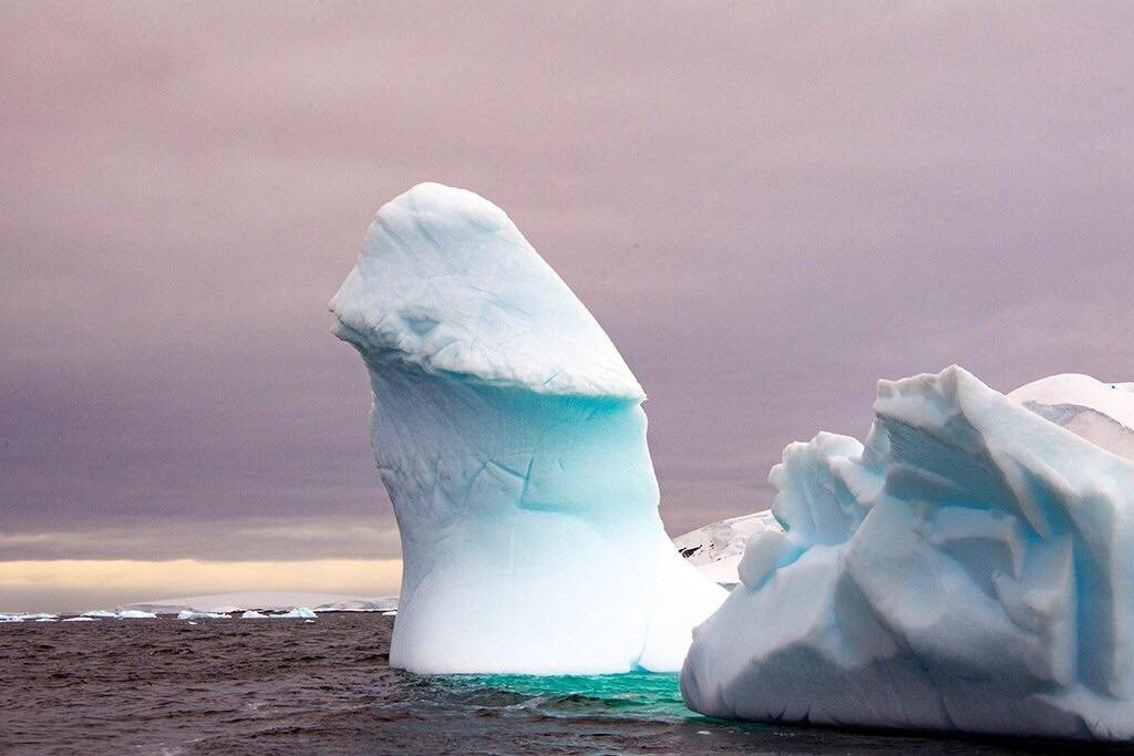 EricTheRabsaris's tweet photo. @Boogiiqueen Q: What did the iceberg say to Titanic?
A: Just the tip! https://t.co/9HyN1jW8wY