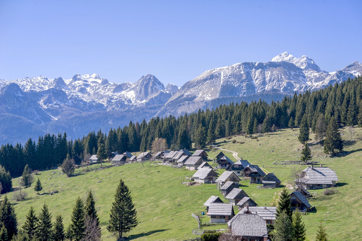 PokljukaP's tweet photo. Ste vedeli, da je izziv, s katerim smo se srečali, tudi kratko rastno obdobje s počasnim razvojem vegetacije? 🌱#PilotniProjektPokljuka #Pokljuka #Slovenija #Izziv
Fotografija: Jonatan Pie https://t.co/H50yceEDLT