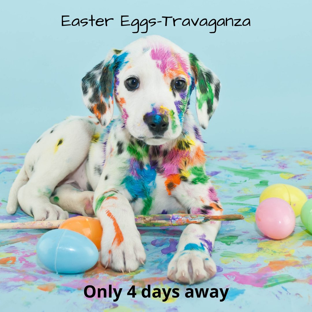 Mokanna329's tweet photo. Only 4 more days until our first Easter Eggs-Travaganza! Come out and enjoy all the fun including crafts for the kiddies!

#mokanna #masons #easter2021 #crafts

https://t.co/aeAjl04Zut https://t.co/sVOAVk8uPA
