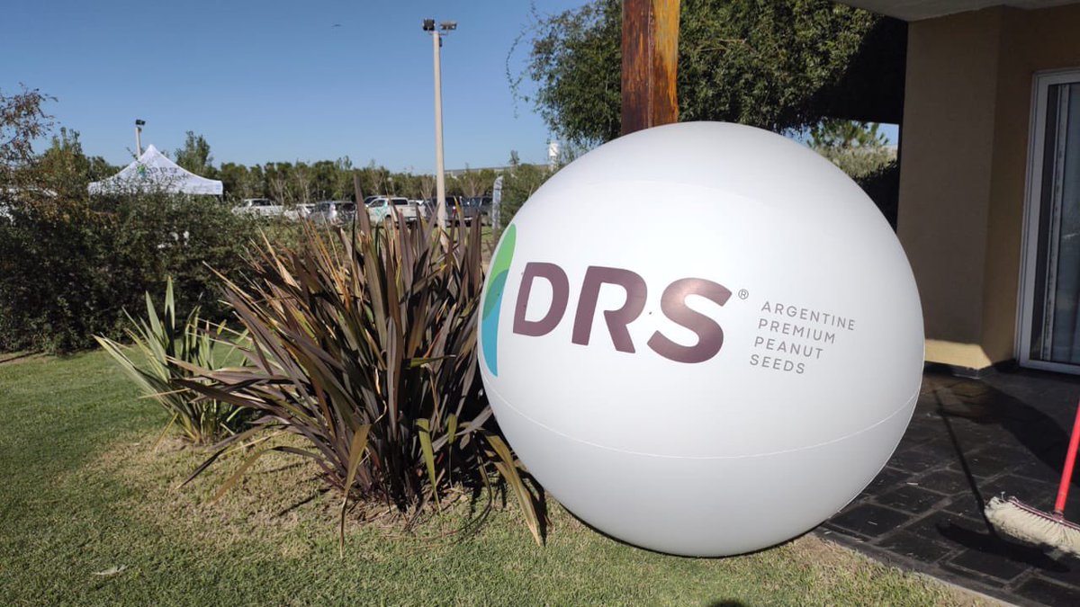 #Ahora participamos de la Jornada a Campo Demostrativa de DRS. Desde General Cabrera, observamos el desarrollo genético de #DRS, el semillero de @ManiagroArg 🌱 #mani #jornada #campo #genetica #cultivo