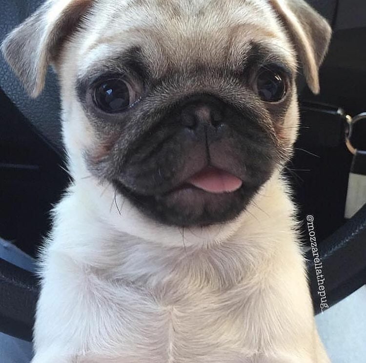 omg so cute