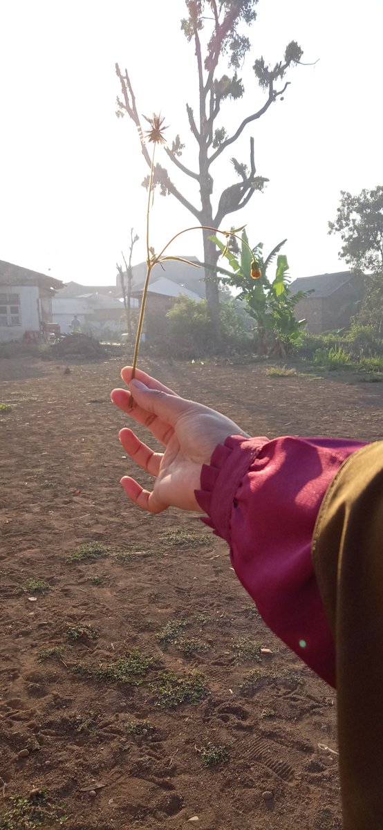 Nelfa31512902's tweet photo. Mendekatkan diri kepada Allah SWT dengan mengerjakan ibadah yang sunnah, setelah mengerjakan ibadah yang wajib.

#TargetRamadhan #GenerasiEmasNegeri
#TargetRamadhan #GenerasiEmasNegeri https://t.co/SIhxHjfFmZ