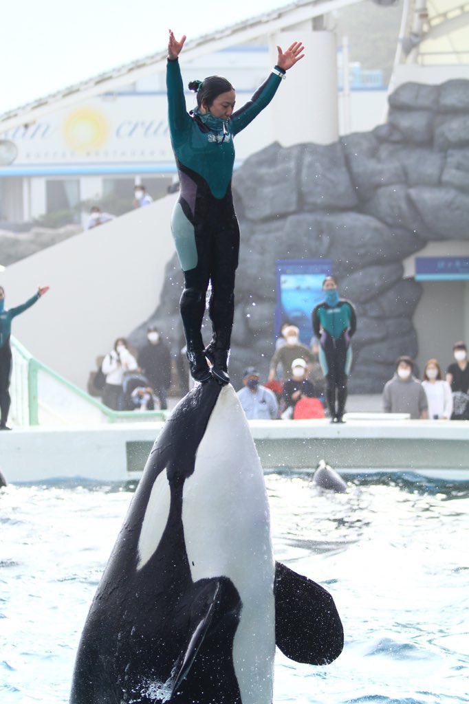 小松トレーナー