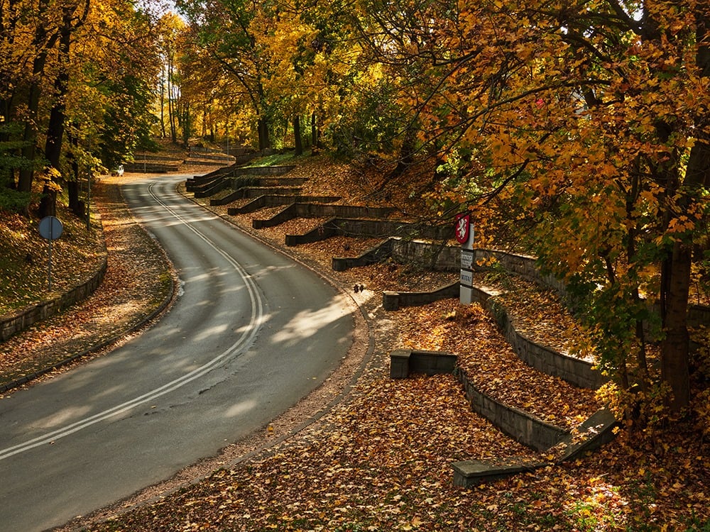 Patrycja Woszczyło tweet media